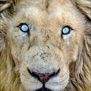 Meet your Posher, Heith